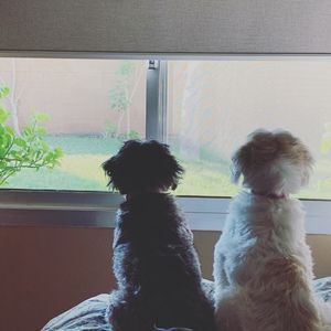 Meet your Posher, Natasha